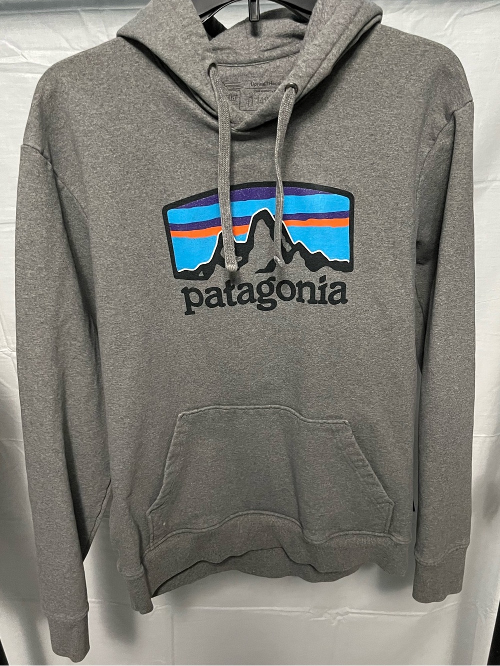 Patagonia Gray Pullover Hoodie with Colorful Mountain Logo